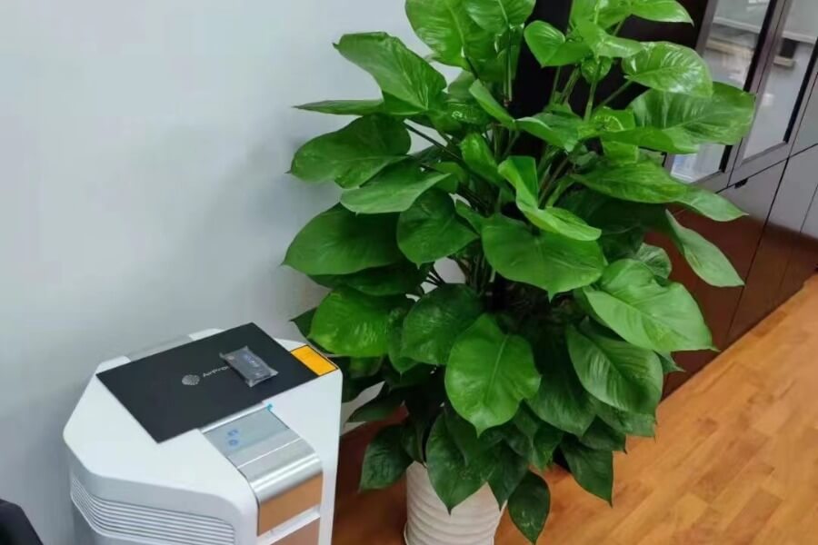 Mất bao lâu để máy lọc không khí lọc sạch bụi? 1 Mất bao lâu để máy lọc không khí lọc sạch bụi_7