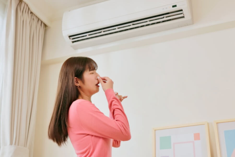 3+ tuyệt chiêu giúp khử mùi ẩm mốc trong phòng kín_1