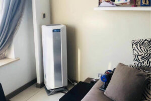 Cách khử mùi phòng kín nhanh chóng nhất_1