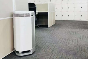 TOP 5 cách khử Formaldehyde hiệu quả mà bạn không nên bỏ qua_6