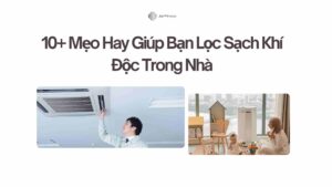10 Mẹo Hay Giúp Bạn Lọc Sạch Khí Độc Trong Nhà
