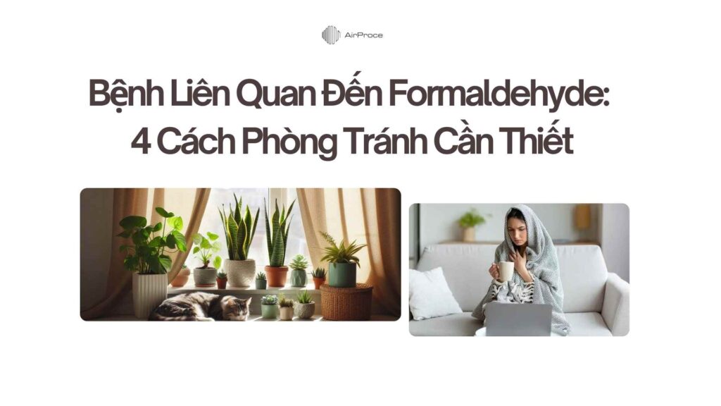 Bệnh Liên Quan Đến Formaldehyde: 4 Cách Phòng Tránh Cần Thiết