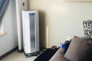 Cách test formaldehyde tại nhà an toàn bạn cần biết (1)_1