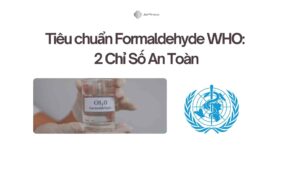 Tiêu chuẩn Formaldehyde WHO 2 Chỉ Số An Toàn