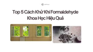 Top 5 Cách Khử Khí Formaldehyde Khoa Học Hiệu Quả