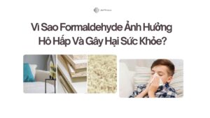 Vì Sao Formaldehyde Ảnh Hưởng Hô Hấp Và Gây Hại Sức Khỏe