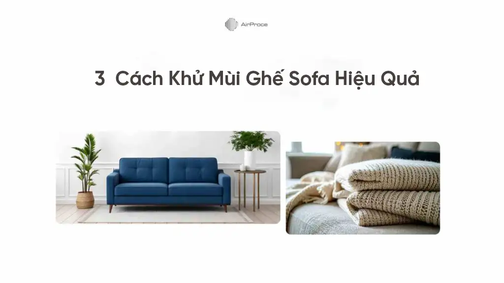 3 Cách Khử Mùi Hôi Ghế Sofa Hiệu Quả Tại Nhà Nên Áp Dụng Ngay 1 3 cách khử mùi ghế sofa