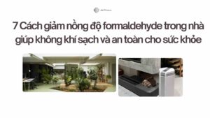 7 Cách giảm nồng độ formaldehyde trong nhà giúp không khí sạch và an toàn cho sức khỏe