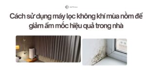 Cách sử dụng máy lọc không khí mùa nồm để giảm ẩm mốc hiệu quả trong nhà