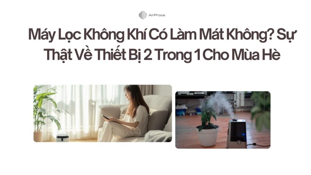 Máy Lọc Không Khí Có Làm Mát Không Sự Thật Về Thiết Bị 2 Trong 1 Cho Mùa Hè