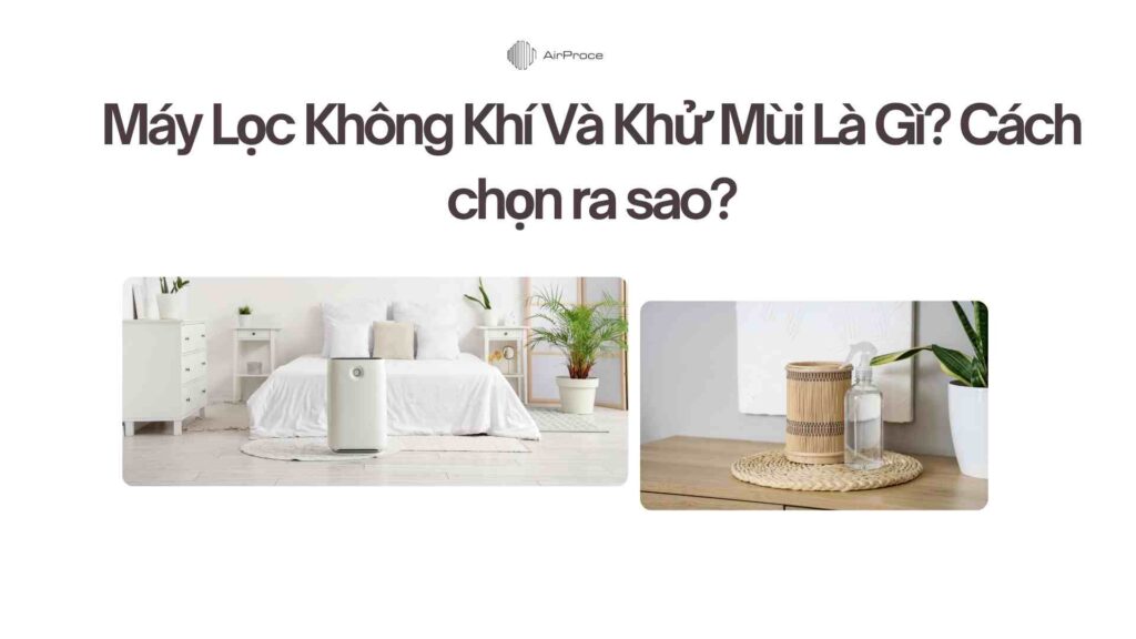 Máy Lọc Không Khí Và Khử Mùi Là Gì Cách chọn ra sao
