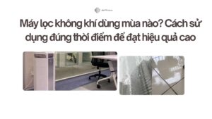 Máy lọc không khí dùng mùa nào? Cách sử dụng đúng thời điểm để đạt hiệu quả cao 1