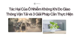 Tác Hại Của Ô Nhiễm Không Khí Do Giao Thông Vận Tải và 3 Giải Pháp Cần Thực Hiện
