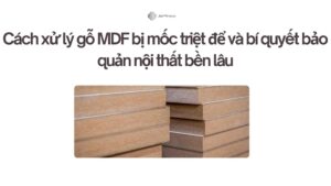Cách xử lý gỗ MDF bị mốc triệt để và bí quyết bảo quản nội thất bền lâu