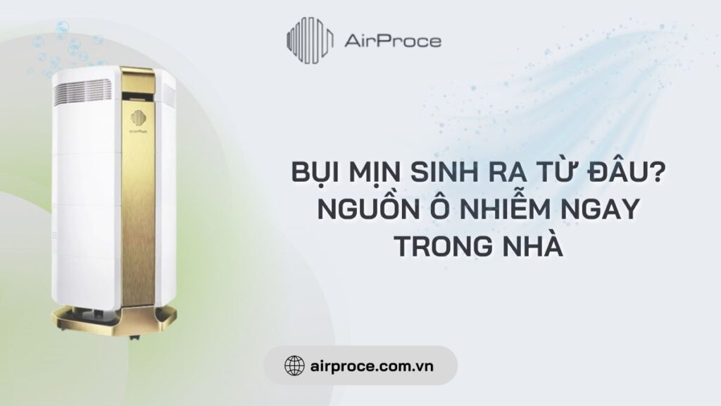 bui-min-sinh-ra-tu-dau