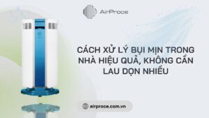 Cách xử lý bụi mịn trong nhà hiệu quả, không cần lau dọn nhiều