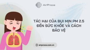 Tác hại của bụi mịn PM 2.5 đến sức khỏe và cách bảo vệ
