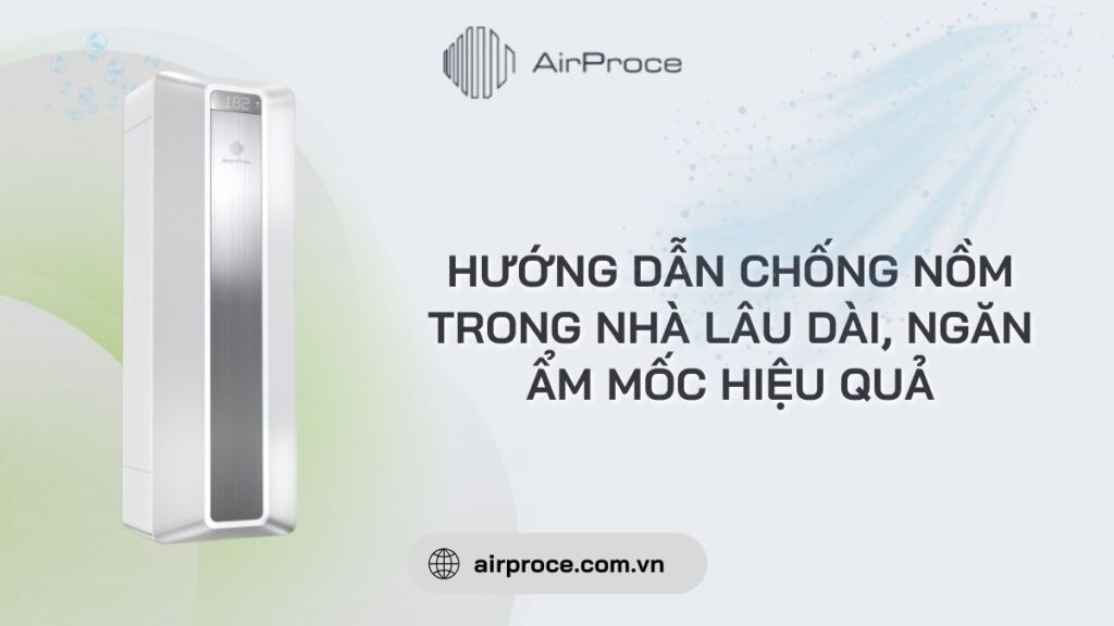 Hướng dẫn chống nồm trong nhà lâu dài, ngăn ẩm mốc hiệu quả 1 chống nồm trong nhà