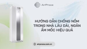 chống nồm trong nhà