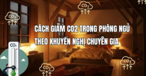 Cách giảm CO2 trong phòng ngủ theo khuyến nghị chuyên gia