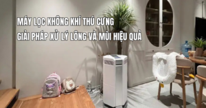 Máy lọc không khí thú cưng: Giải pháp xử lý lông và mùi hiệu quả