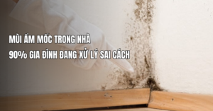 90% gia đình xử lý sai mùi ẩm mốc trong nhà