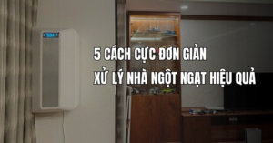 Xử lý nhà ngột ngạt hiệu quả: 5 cách đơn giản giúp không gian luôn thông thoáng