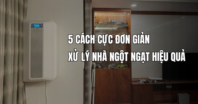 Xử lý nhà ngột ngạt hiệu quả: 5 cách đơn giản giúp không gian luôn thông thoáng 1 Xử lý nhà ngột ngạt hiệu quả: 5 cách đơn giản giúp không gian luôn thông thoáng