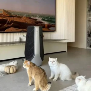 máy lọc không khí S9 xử lý lông thú cưng hiệu quả